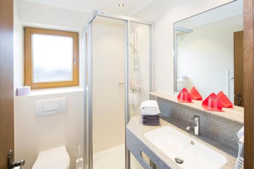 a bathroom with a shower and a sink and a mirror at Landhaus Greil in Reith im Alpbachtal