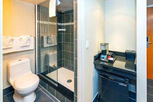 a bathroom with a toilet and a glass shower at Banff Inn in Banff