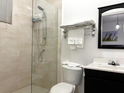 a bathroom with a shower and a toilet and a sink at Ladybugs Apartments in Palm-Eagle Beach
