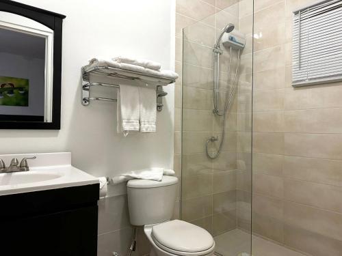 a bathroom with a shower and a toilet and a sink at Ladybugs Apartments in Palm-Eagle Beach