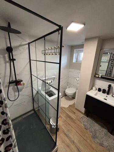 La salle de bains est pourvue de toilettes et d'une paroi en verre. dans l'établissement Logement cosy hyper centre, à Dunkerque