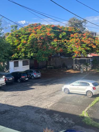 a white car parked in front of a tree with red flowers at Villa Flamboyant in Basse-Terre
