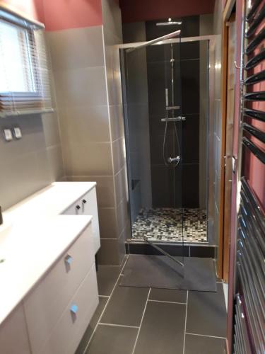 La salle de bains est pourvue d'une douche et d'une cabine de verre. dans l'établissement Chalet Sapinou, à Les Deux Alpes