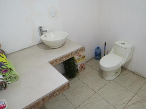 a bathroom with a sink and a toilet at Rose House Manuel Antonio in Quepos