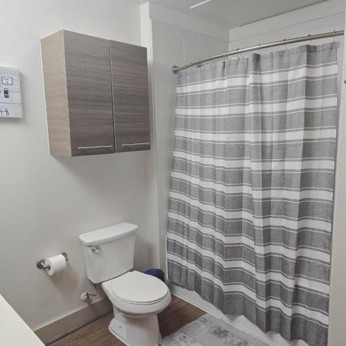 a bathroom with a toilet and a shower curtain at Midtown Downtown Breeze in Houston
