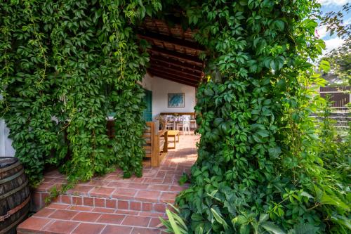 a room with a wall covered in green ivy at Carpe diem Vendégház in Cserépfalu