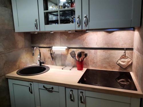 une cuisine avec un évier et un plan de travail dans l'établissement Résidence Creux De L Ours D - CREUX DE L OURS D67 MAE-4121, à Les Allues