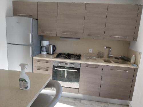 une cuisine avec des armoires en bois et un réfrigérateur blanc dans l'établissement Maison de vigne rénovée, à Saint-Affrique