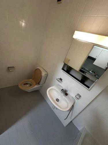 a white bathroom with a toilet and a sink at Zentral und komfortabel an der Kathedrale in Fribourg