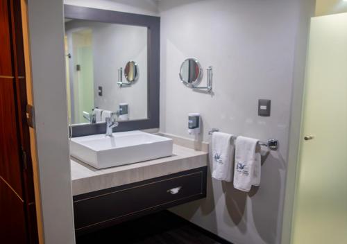a bathroom with a white sink and a mirror at Hotel Parque Satelite in Mexico City