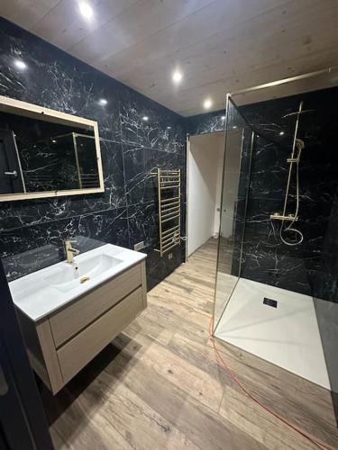 une salle de bain avec un lavabo et une douche en verre dans l'établissement Le Chalheureux, à Aumontzey