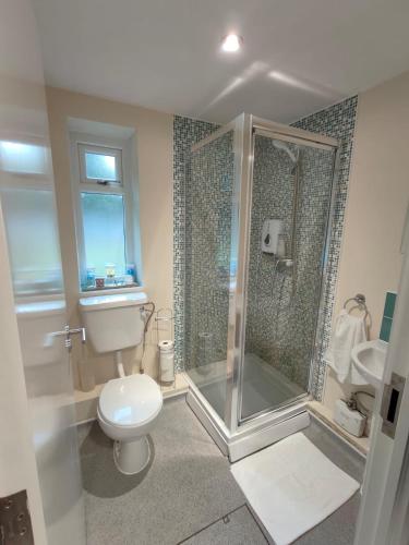 a bathroom with a shower and a toilet and a sink at Slieve Apartment Suites in Birmingham