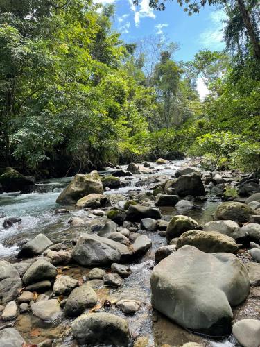 a river with rocks and trees in the background at Cabinas La Catarata in Fortuna