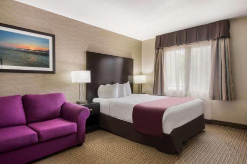 a hotel room with a bed and a purple couch at Best Western Little River Inn in Simcoe