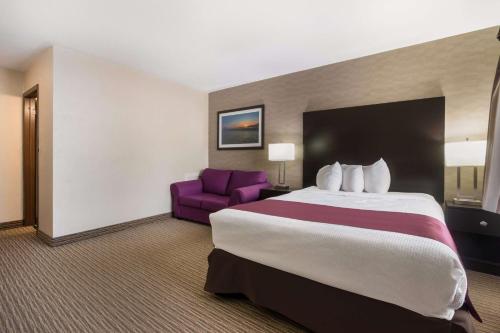 a hotel room with a large bed and a purple chair at Best Western Little River Inn in Simcoe