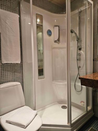 a bathroom with a shower and a white toilet at Best Western Hotel Apollo in Oulu