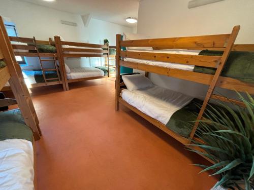 a room with three bunk beds and a plant at Llety Glyndwr - Bunkhouse in Trawsfynydd