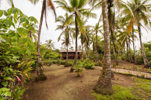 a resort with palm trees and a building in the background at Cabaña El Bien Germina Ya in El Valle