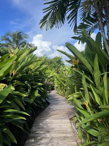 a path through a plantation with palm trees at Eden Paradise Ecolodge & Spa in Sainte-Luce