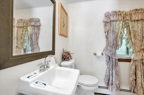 a bathroom with a sink and a toilet and a mirror at Williamston Inn in Forest Hills