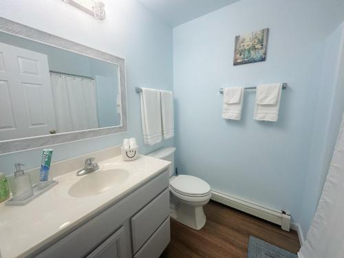 a bathroom with a sink and a toilet and a mirror at Easystay in Fairbanks