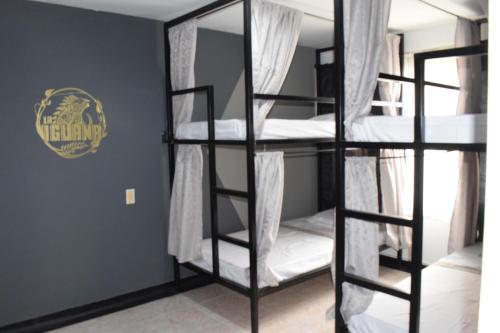 a bunk bed room with bunk beds in it at La iguana café y más in Pereira
