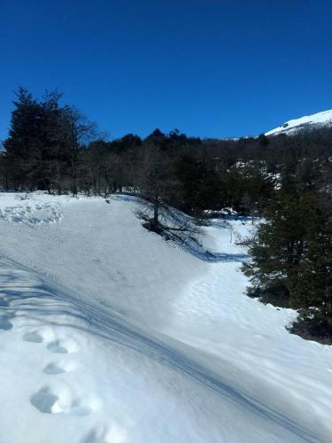 a snow covered road with footprints in the snow at Cabañas Mawidantu Lemu in Las Trancas