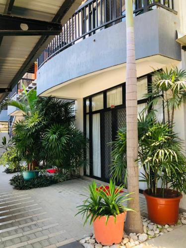 a building with a bunch of plants in front of it at Palm Beach Hotel Dili in Dili