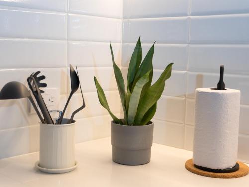 three vases with plants and a roll of paper towels at Art Homes 85 in Bogotá