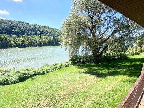 a weeping willow tree on the side of a lake at Kiteville Owego in Owego