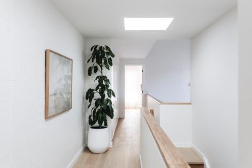 Φωτογραφία από το άλμπουμ του Rubus Residences, Berry - by Linnaeus Collection σε Berry