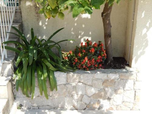 Apartments Lucija - One Bedroom Apartment with Terrace