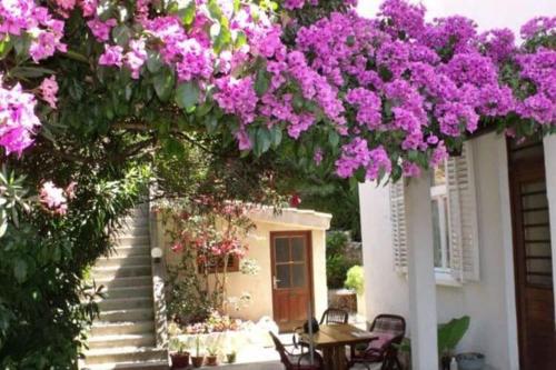 Plavi Zal Apartment - One Bedroom Apartment with Two Terraces