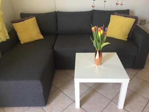 Apartments Roko ST - Economy One Bedroom Apartment with Shared Terrace A2