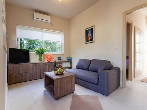 Apartments Ankora - One bedroom apartment with terrace and sea view