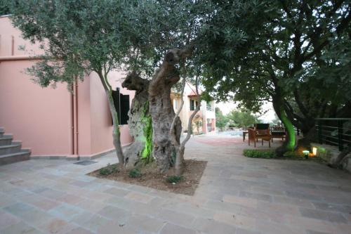 Φωτογραφία από το άλμπουμ του Kastellos Traditional Houses σε Κάστελλος
