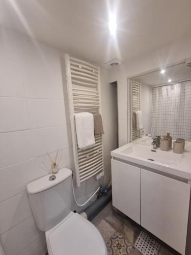 une salle de bain blanche avec des toilettes et un lavabo dans l'établissement La Maison de Maila, à Toulouse