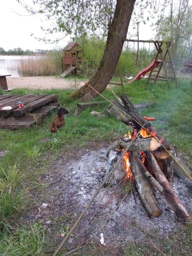 a fire pit with logs and a tree at Domek Apartament Windyki in Iława