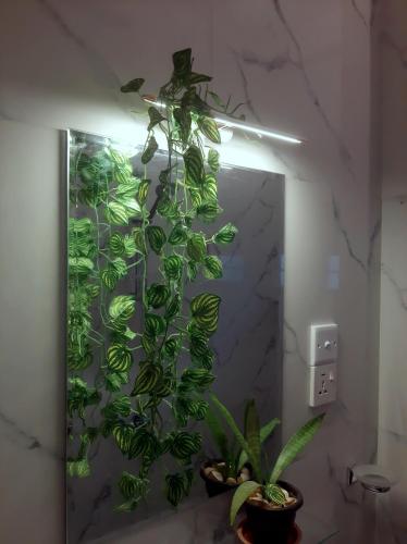 una planta verde está colgando de una pared en Weerakoon Garden Guest, en Hikkaduwa