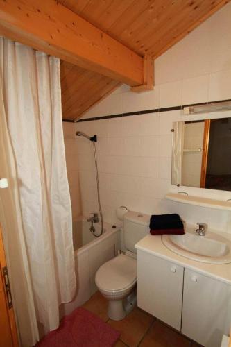 une salle de bain avec toilettes et lavabo dans l'établissement Résidence Les Alpages - Chalet des ALPAGES N°28 MAE-4711, à La Plagne Tarentaise