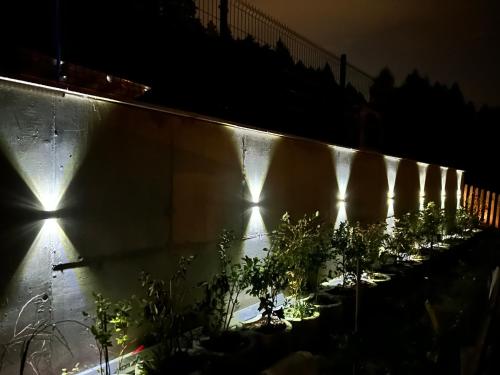a group of plants against a wall at night at Horska Rezort in Ružomberok
