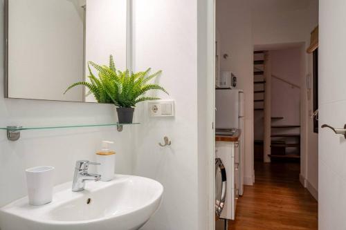 Beautiful Ground Floor Duplex in the heart of Seville