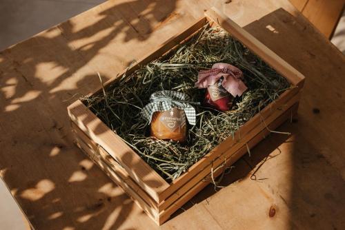 a wooden box with a toy inside of it at Untermairhof Appartment Residence in Selva dei Molini