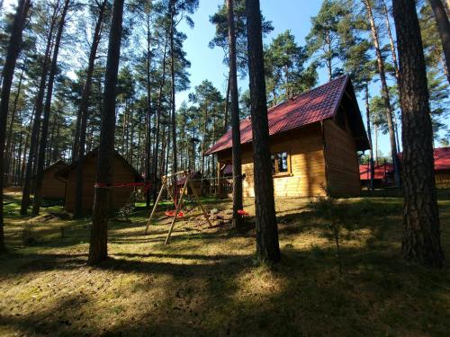 eine Hütte im Wald mit Schaukel in der Unterkunft Domek pełen szczęścia in Borsk