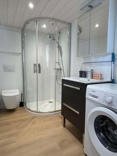 une salle de bain avec douche et machine à laver dans l'établissement Le Moulin, appartement rénové au coeur d'Arago, à Les Sables-dʼOlonne