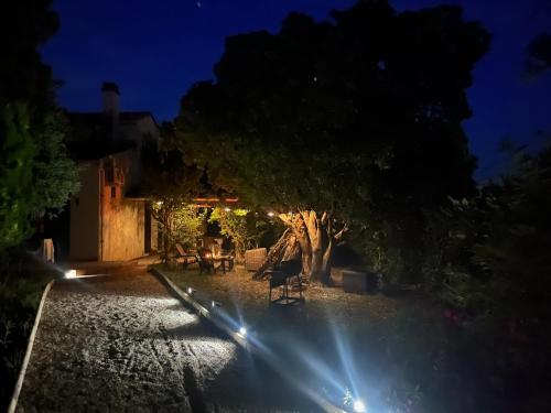- un jardin avec un arbre et des lumières la nuit dans l'établissement Maison Grignan avec piscine a 400m du village, à Grignan