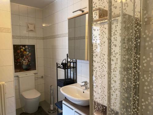 a bathroom with a sink and a toilet and a shower at Bewegung in Ruhe in Bachones