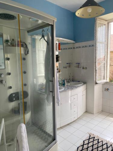 une salle de bain avec douche et lavabo dans l'établissement Maison de Fatiha, à Saint-Sornin-Leulac