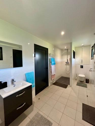 une salle de bain avec un lavabo, une douche et des toilettes dans l'établissement Charmant logement, à Choignes