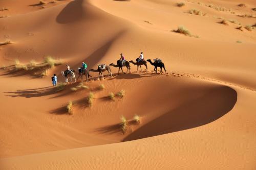 a group of people riding horses in the desert at Luxurious Merzouga Desert Camps in Merzouga